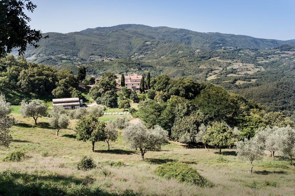 Agriturismo di Baroni Enzo Dicomano Esterno foto