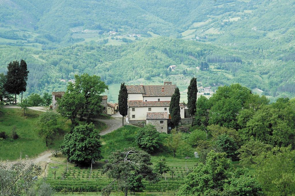 Agriturismo di Baroni Enzo Dicomano Esterno foto